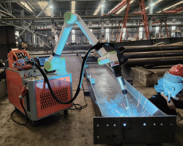 DS-Y Collaborative Robot